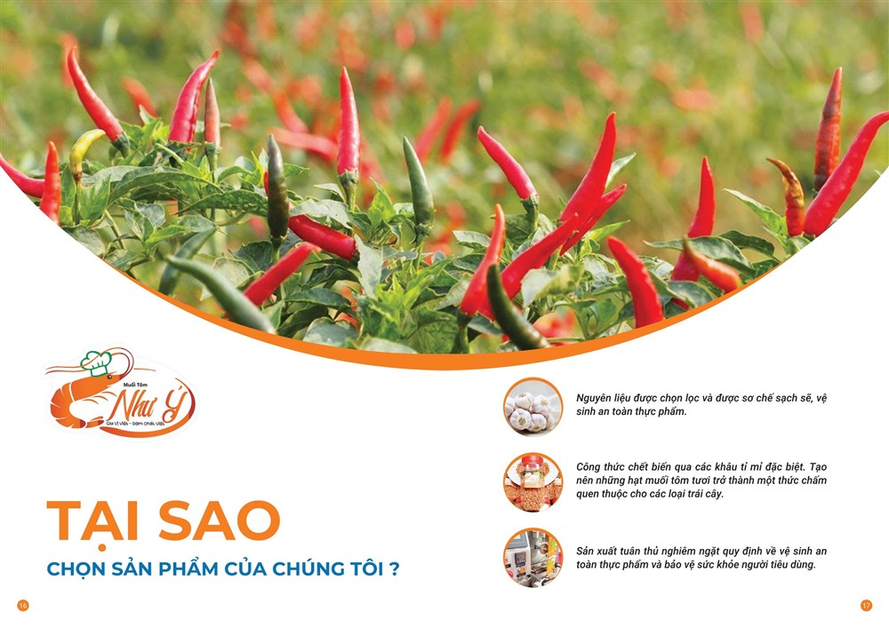 KYNY - MỘT THƯƠNG HIỆU CỦA MUỐI TÔM NHƯ Ý